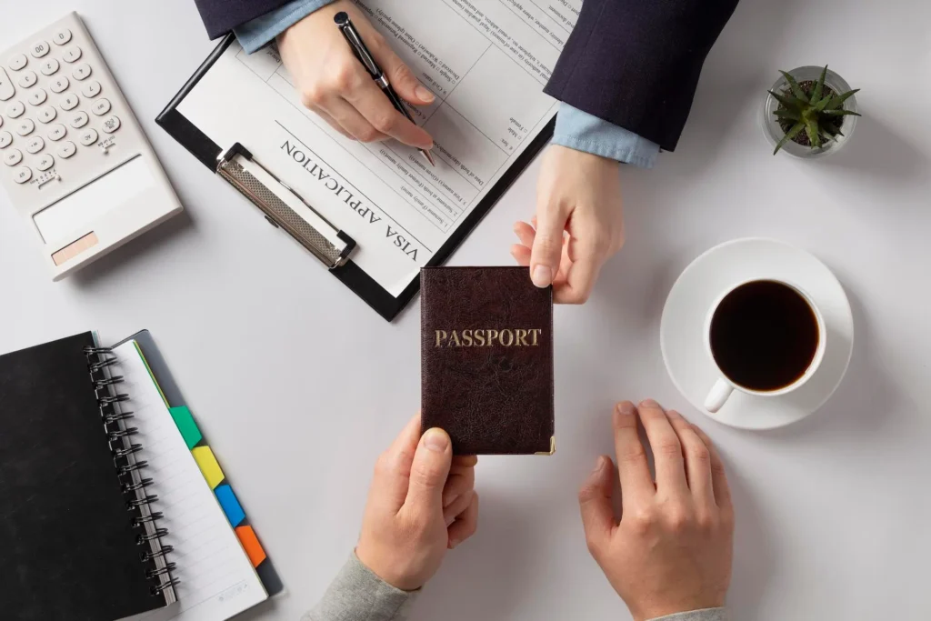 surtido de solicitud de visa plana